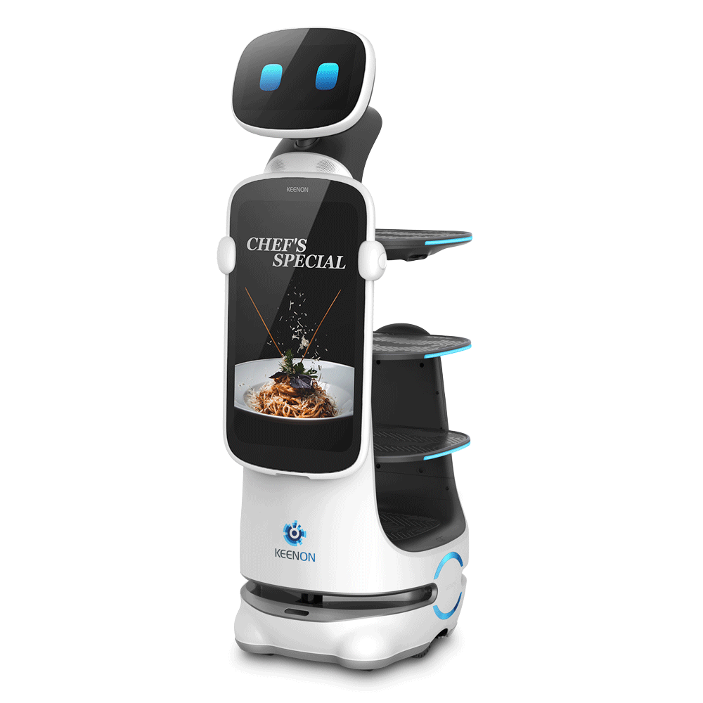 Dinerbot T10