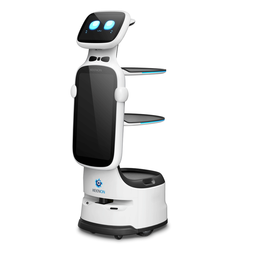 Dinerbot T11