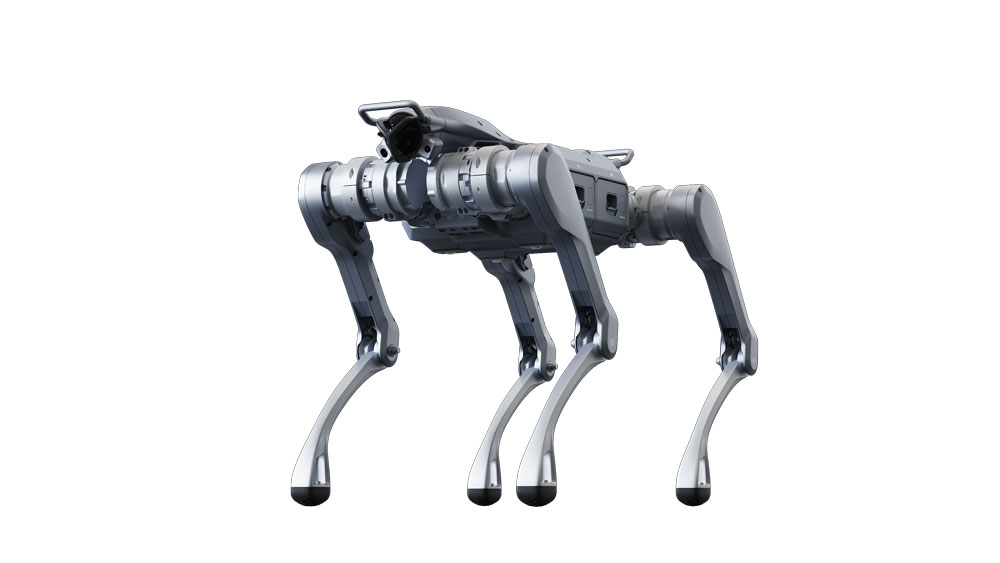 Robot 4 chân A2