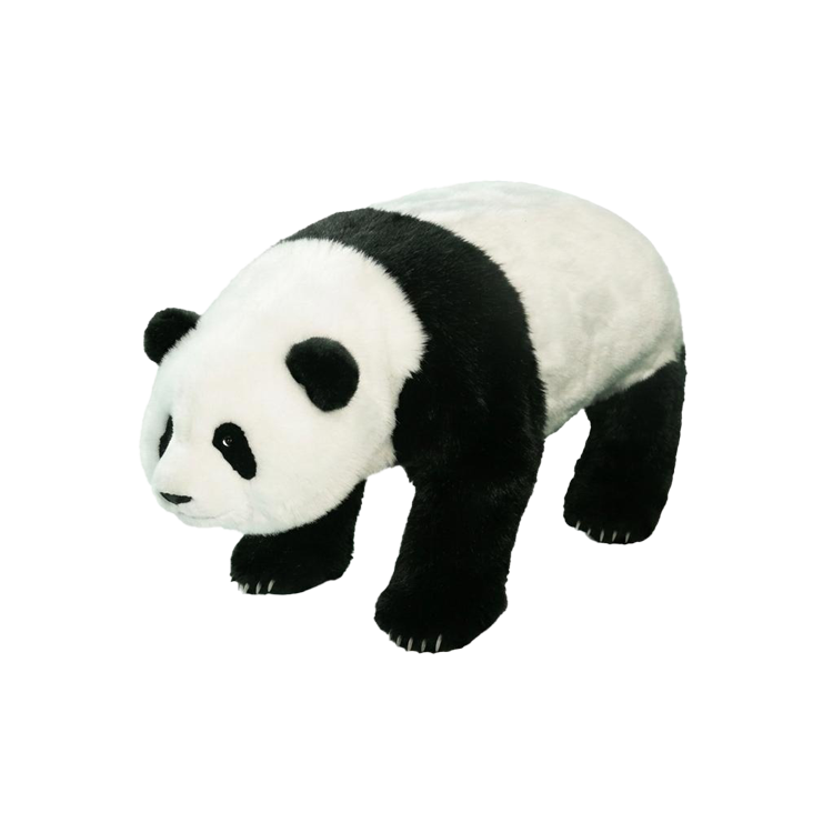 Robot bốn chân Go2 Panda